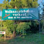 Weihnachtsbaumverkauf Egnach